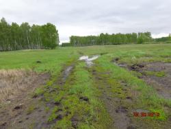 post-10547-0-66772100-1432396837_thumb.j