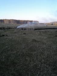 post-11805-0-71994600-1431487493_thumb.j