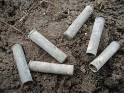 post-12373-0-42654900-1431623013_thumb.j