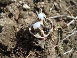 post-12373-0-71361400-1431623135_thumb.j