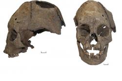 post-14555-0-04961000-1432498265_thumb.j