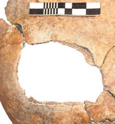 post-14555-0-66685300-1432498346_thumb.j