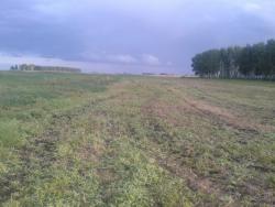 post-14670-0-01194700-1432980793_thumb.j