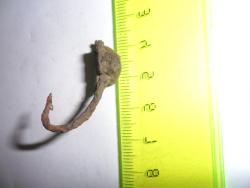 post-20810-0-15021600-1432197977_thumb.j