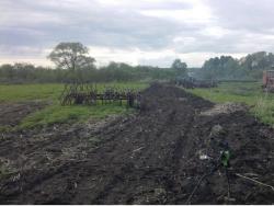 post-27646-0-35648000-1432483244_thumb.j