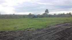 post-27646-0-96562900-1432483255_thumb.j