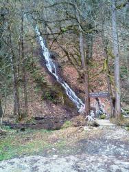 post-27737-0-00853500-1433059464_thumb.j