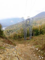 post-27737-0-17985700-1433055366_thumb.j