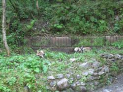 post-27737-0-36503200-1433059743_thumb.j