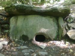 post-27737-0-37860400-1433054861_thumb.j