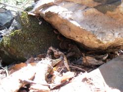 post-27737-0-66399800-1433059765_thumb.j