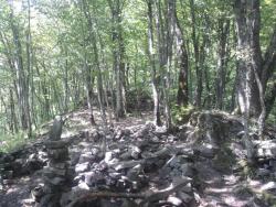 post-27737-0-88901600-1433054969_thumb.j