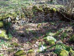 post-27737-0-93347100-1433054788_thumb.j