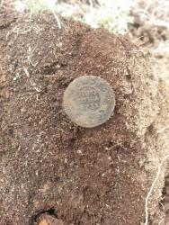 post-27784-0-07481400-1430757296_thumb.j