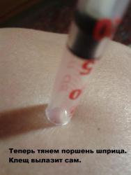 post-27784-0-09938100-1431003931_thumb.j