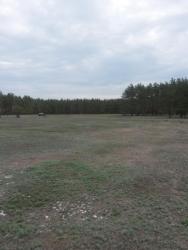 post-27784-0-21181100-1430757270_thumb.j