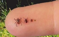 post-27784-0-29067300-1431003886_thumb.j