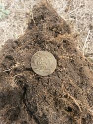 post-27784-0-30507700-1430757319_thumb.j