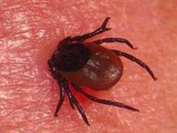 post-27784-0-98340600-1431003881_thumb.j