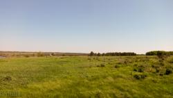 post-28025-0-14536300-1433069773_thumb.j