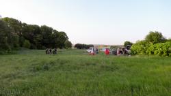 post-28025-0-67127600-1433069201_thumb.j