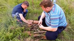 post-28025-0-69837200-1433069584_thumb.j