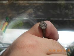 post-32000-0-31281700-1431244390_thumb.j