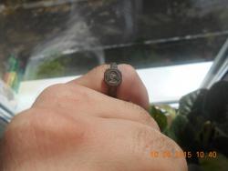 post-32000-0-82683200-1431244383_thumb.j