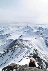 post-32102-0-94463400-1432545428_thumb.j