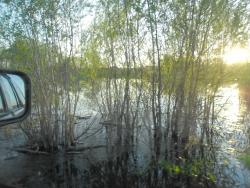 post-32197-0-30306900-1431251775_thumb.j