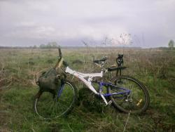 post-32197-0-30728700-1430765399_thumb.j