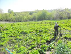 post-32197-0-58161100-1431366372_thumb.j