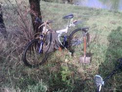 post-32197-0-62902900-1430765467_thumb.j