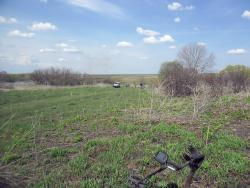 post-32197-0-99243700-1431251979_thumb.j