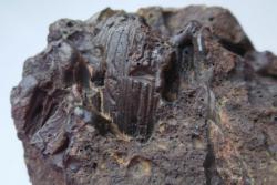 post-32259-0-61229000-1431963880_thumb.j