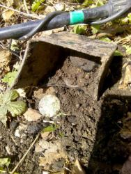 post-32874-0-31191100-1431109297_thumb.j