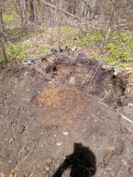 post-32874-0-38392300-1431109281_thumb.j