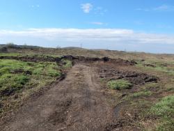 post-3295-0-20103600-1431614130_thumb.jp