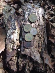 post-33129-0-67902200-1432134982_thumb.j