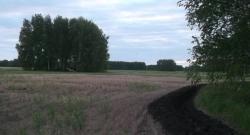 post-33298-0-27838400-1432483328_thumb.j