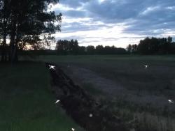 post-33298-0-48794000-1432401753_thumb.j