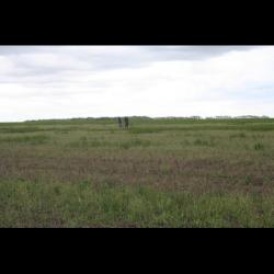 post-33717-0-03532900-1432394784_thumb.j