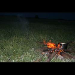 post-33717-0-18425300-1432394905_thumb.j