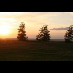 post-33717-0-27853800-1432394877_thumb.j