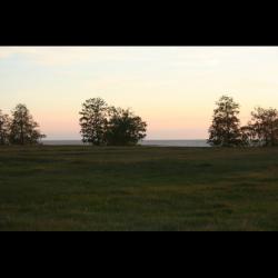 post-33717-0-41863900-1432394891_thumb.j