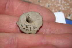 post-33717-0-89309300-1430846194_thumb.j