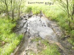 post-33855-0-75776000-1432748459_thumb.j