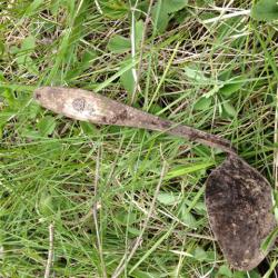 post-33876-0-30450600-1432533809_thumb.j