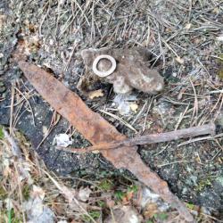 post-33876-0-80471900-1432533801_thumb.j