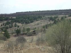 post-33940-0-05332000-1430574338_thumb.j